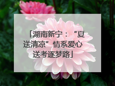 湖南新宁：“夏送清凉”情系爱心送考逐梦路