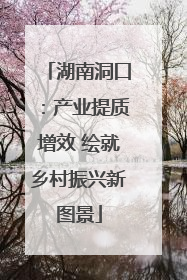湖南洞口：产业提质增效 绘就乡村振兴新图景