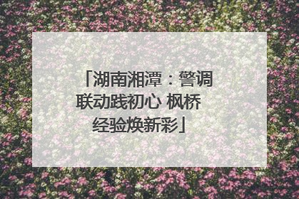 湖南湘潭：警调联动践初心 枫桥经验焕新彩