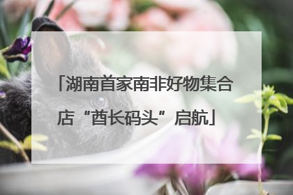 湖南首家南非好物集合店“酋长码头”启航