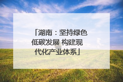 湖南：坚持绿色低碳发展 构建现代化产业体系