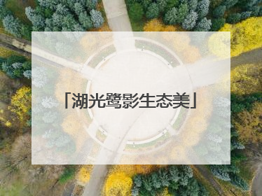 湖光鹭影生态美