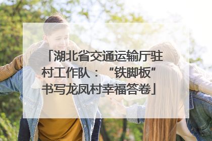 湖北省交通运输厅驻村工作队：“铁脚板”书写龙凤村幸福答卷