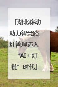 湖北移动助力智慧路灯管理迈入“AI＋灯链”时代