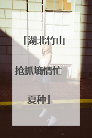 湖北竹山抢抓墒情忙夏种