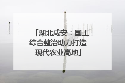 湖北咸安：国土综合整治助力打造现代农业高地