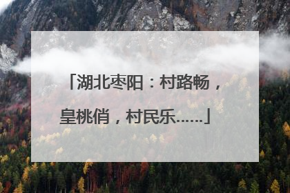 湖北枣阳：村路畅，皇桃俏，村民乐……