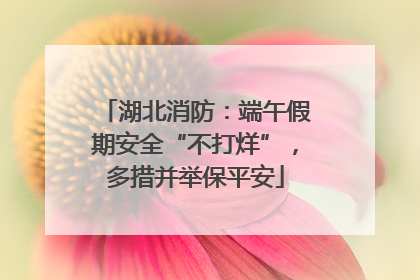 湖北消防：端午假期安全“不打烊”，多措并举保平安