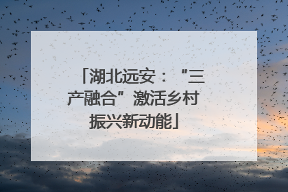 湖北远安：“三产融合”激活乡村振兴新动能