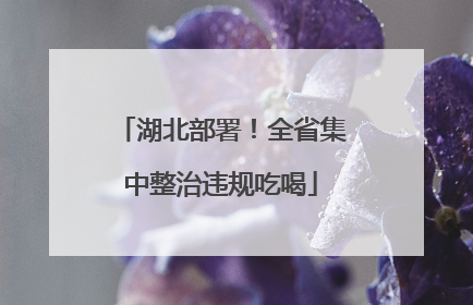 湖北部署！全省集中整治违规吃喝