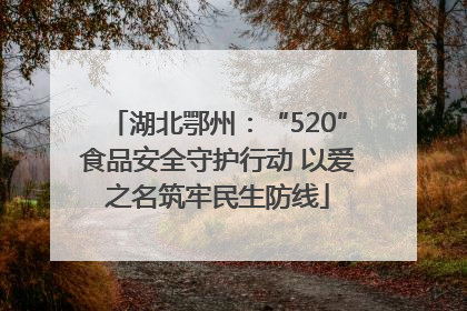 湖北鄂州：“520”食品安全守护行动 以爱之名筑牢民生防线