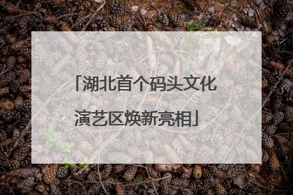 湖北首个码头文化演艺区焕新亮相