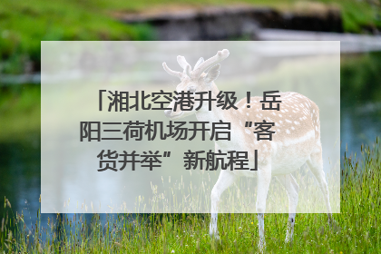 湘北空港升级！岳阳三荷机场开启“客货并举”新航程
