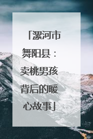 漯河市舞阳县：卖桃男孩背后的暖心故事