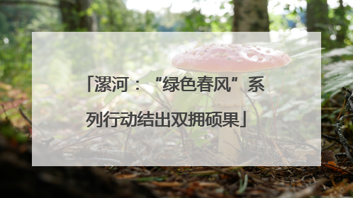 漯河：“绿色春风”系列行动结出双拥硕果