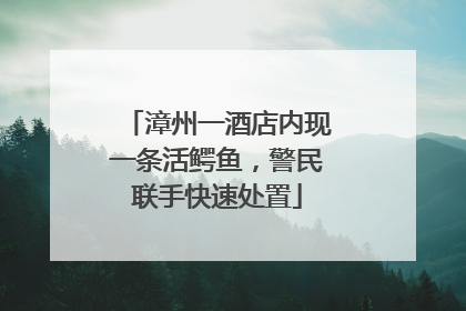 漳州一酒店内现一条活鳄鱼，警民联手快速处置