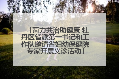 菏力共治助健康 牡丹区省派第一书记和工作队邀请省妇幼保健院专家开展义诊活动