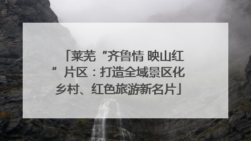 莱芜“齐鲁情 映山红”片区：打造全域景区化乡村、红色旅游新名片