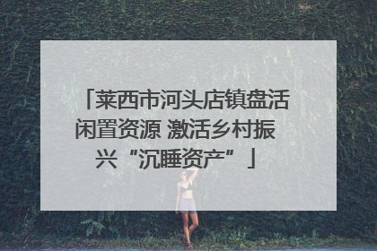 莱西市河头店镇盘活闲置资源 激活乡村振兴“沉睡资产”