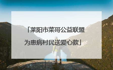莱阳市菜哥公益联盟为患病村民送爱心款