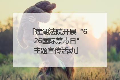 莲湖法院开展“6·26国际禁毒日”主题宣传活动