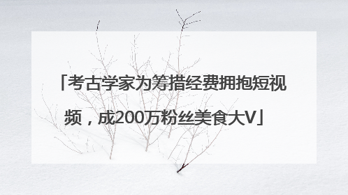 考古学家为筹措经费拥抱短视频，成200万粉丝美食大V