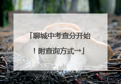 聊城中考查分开始！附查询方式→
