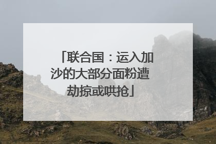 联合国：运入加沙的大部分面粉遭劫掠或哄抢