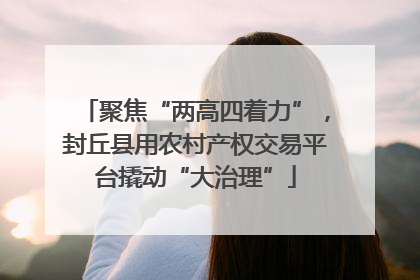 聚焦“两高四着力”，封丘县用农村产权交易平台撬动“大治理”