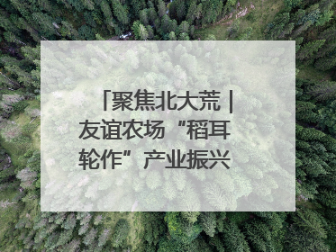 聚焦北大荒｜友谊农场“稻耳轮作”产业振兴“花开两朵”