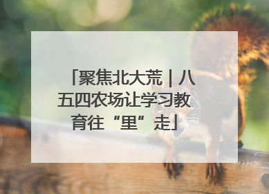 聚焦北大荒｜八五四农场让学习教育往“里”走