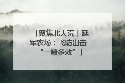 聚焦北大荒｜延军农场：飞防出击 “一喷多效”
