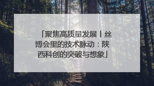 聚焦高质量发展丨丝博会里的技术脉动：陕西科创的突破与想象