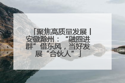 聚焦高质量发展丨安徽滁州：“融圈进群”借东风，当好发展“合伙人”