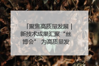 聚焦高质量发展｜新技术成果汇聚“丝博会” 为高质量发展注入新动能