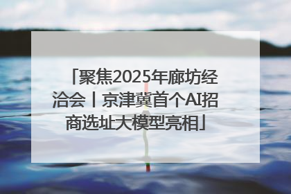 聚焦2025年廊坊经洽会丨京津冀首个AI招商选址大模型亮相