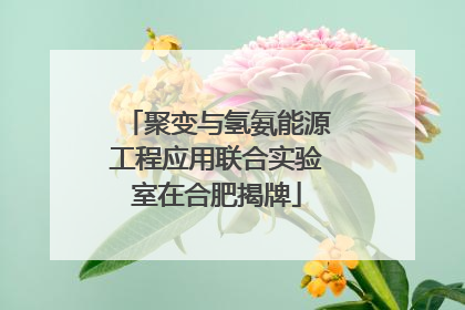 聚变与氢氨能源工程应用联合实验室在合肥揭牌