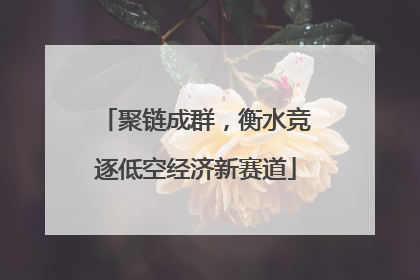 聚链成群，衡水竞逐低空经济新赛道