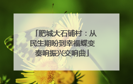肥城大石铺村：从民生期盼到幸福蝶变奏响振兴交响曲