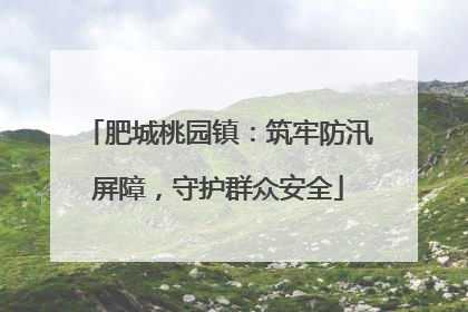 肥城桃园镇：筑牢防汛屏障，守护群众安全
