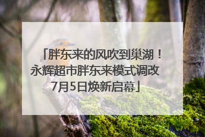 胖东来的风吹到巢湖！永辉超市胖东来模式调改7月5日焕新启幕