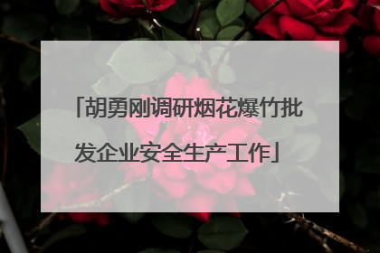 胡勇刚调研烟花爆竹批发企业安全生产工作