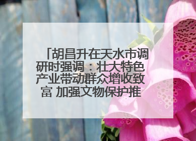 胡昌升在天水市调研时强调：壮大特色产业带动群众增收致富 加强文物保护推动文化创新发展