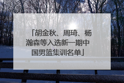 胡金秋、周琦、杨瀚森等入选新一期中国男篮集训名单