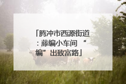 腾冲市西源街道：藤编小车间 “编”出致富路