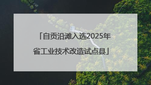 自贡沿滩入选2025年省工业技术改造试点县