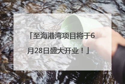 至海港湾项目将于6月28日盛大开业！