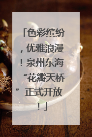 色彩缤纷，优雅浪漫！泉州东海“花瓣天桥”正式开放！