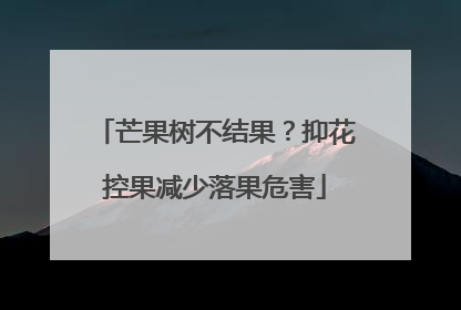 芒果树不结果？抑花控果减少落果危害