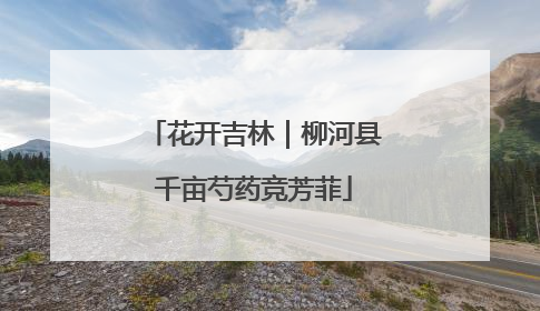 花开吉林｜柳河县千亩芍药竞芳菲